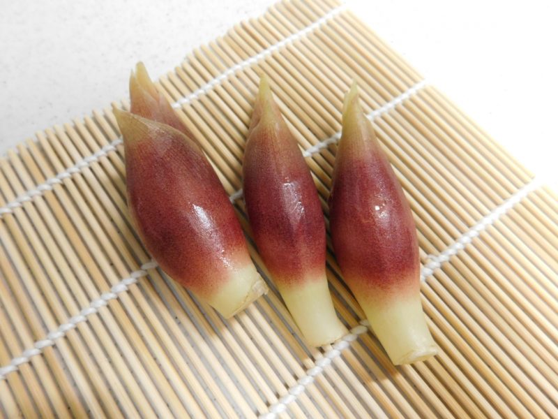 เมียวกะ