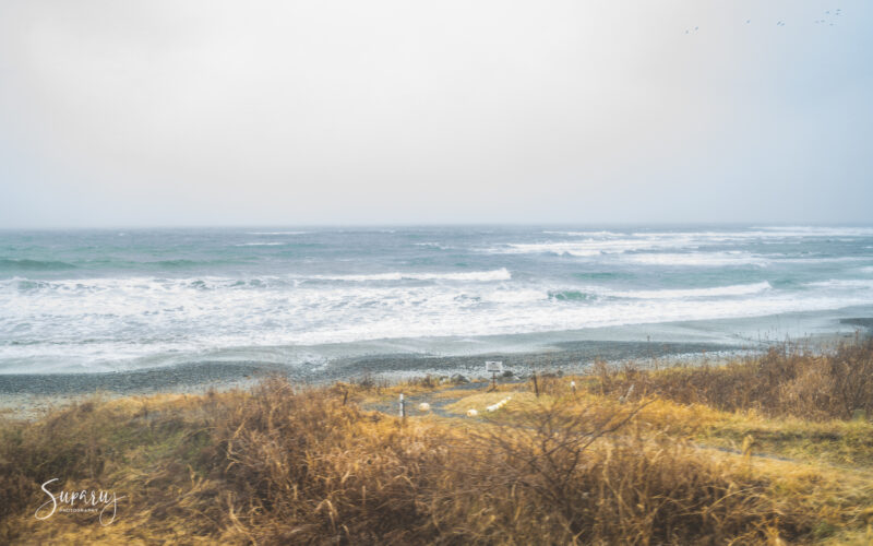 Ruj Tohoku Emotion-Ocean View