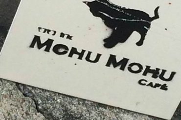 バンコクの猫カフェ「MOHUMOHU」
