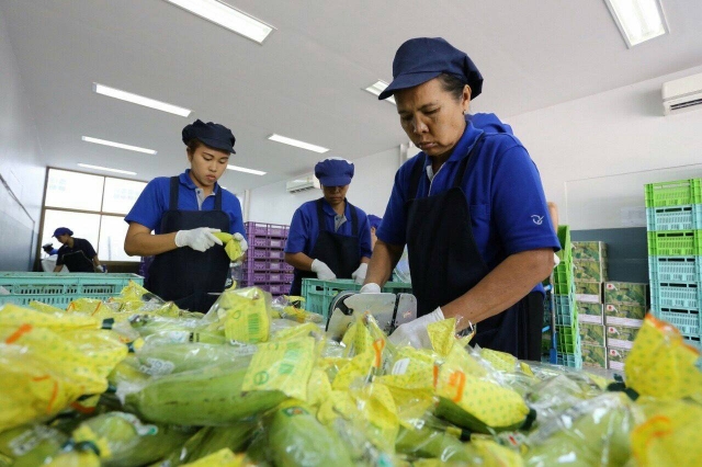 毎日大忙しの生産工場