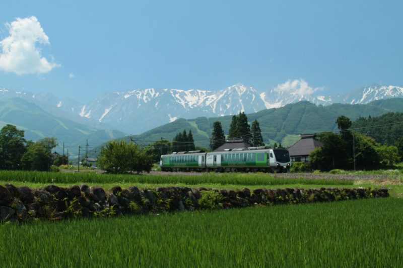 resort view furusato