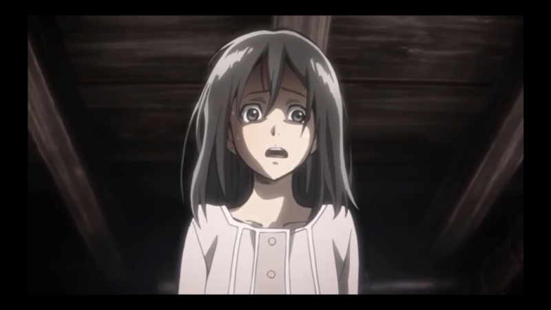 mikasa 1