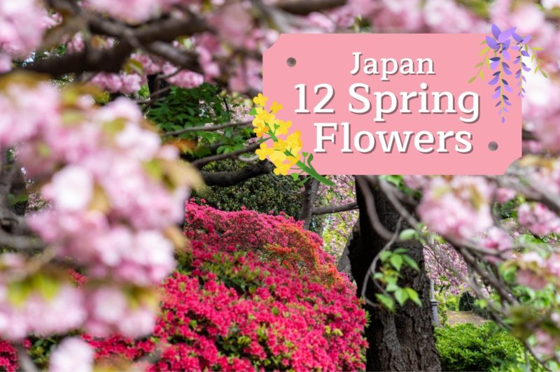 JR 12 Spring Cover
