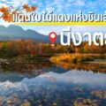 Niigata Autumn Feature